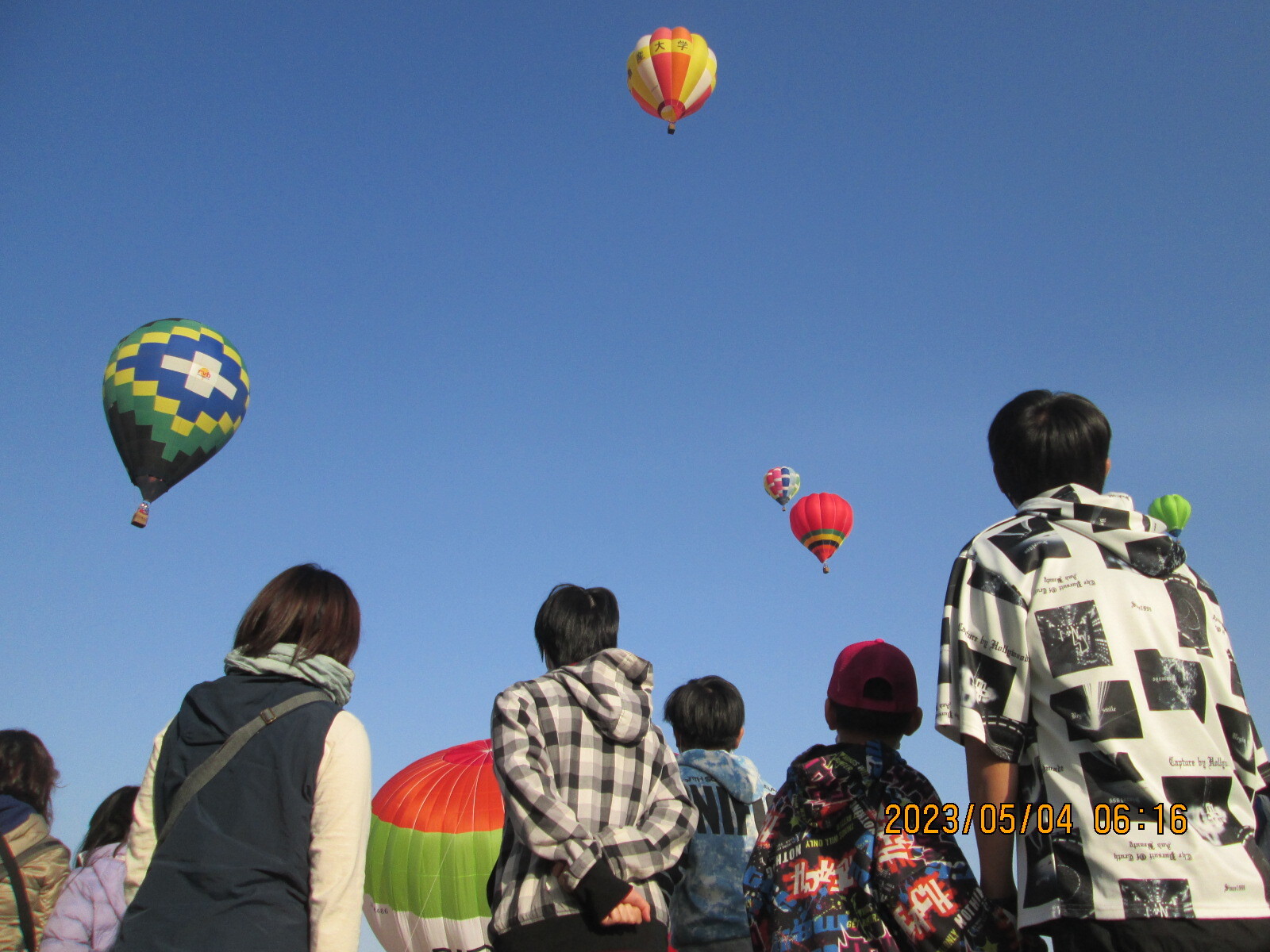 写真：稲刈り