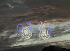 写真：稲刈り
