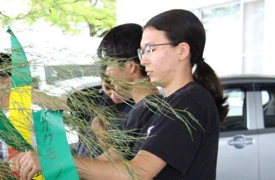 写真：稲刈り
