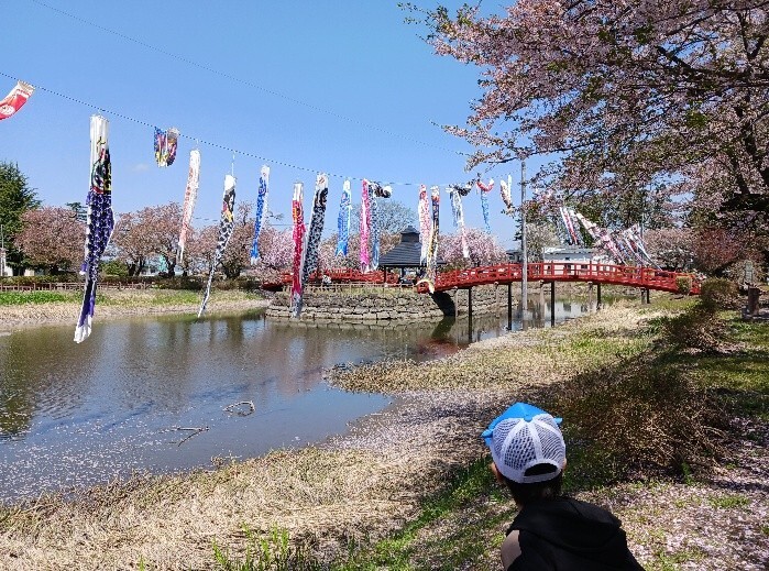 写真：稲刈り