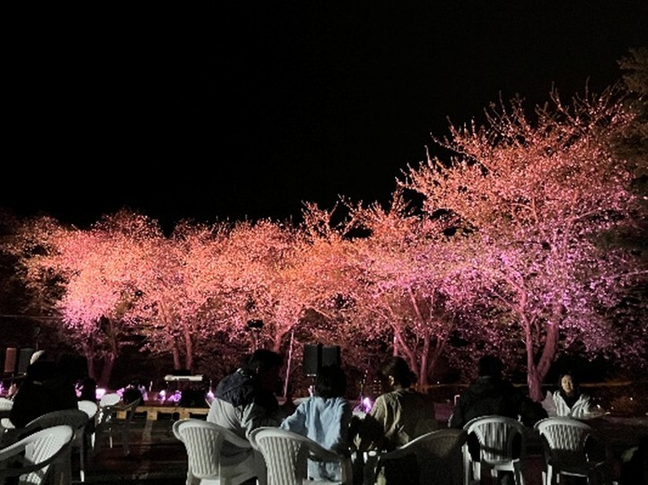 写真：稲刈り
