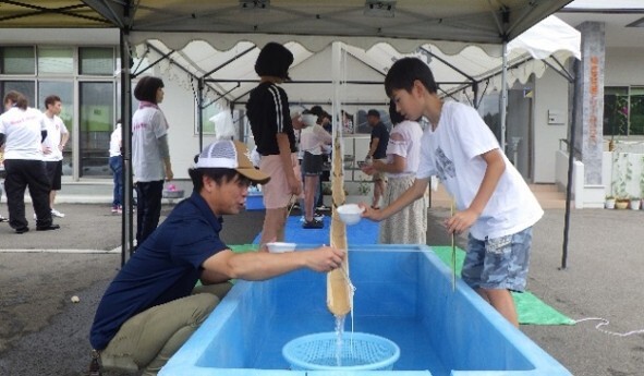 写真：稲刈り